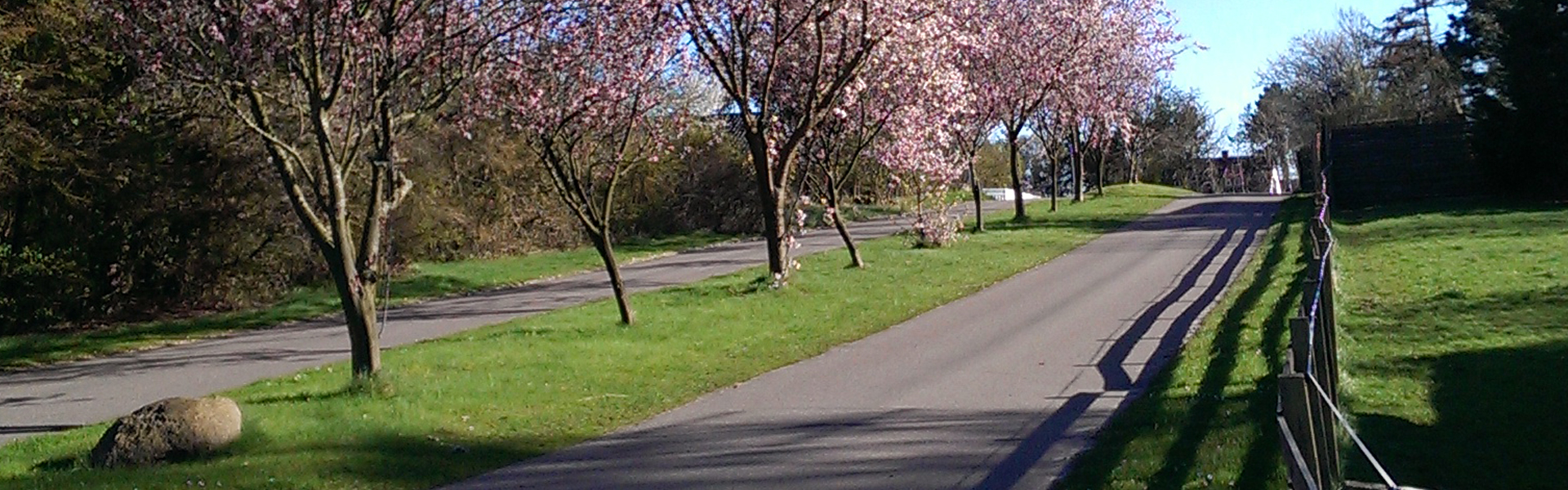 Beliggende i Nordsjællands smukkeste sommerhusområde Grundejerforeningen Vibeholm